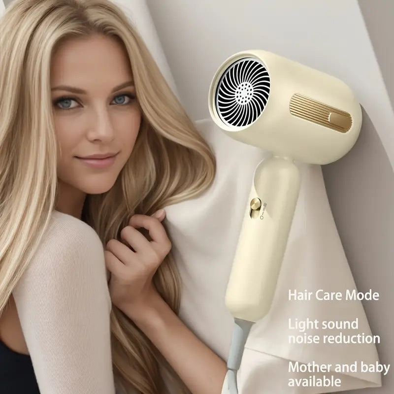 Standard Leakage Protection Speed Electric Hair Dryer Household High Power Quick-drying Constant Temperature