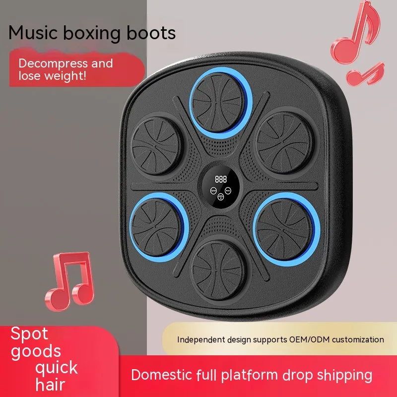 Music Boxing Target Wall Fitness Equipment