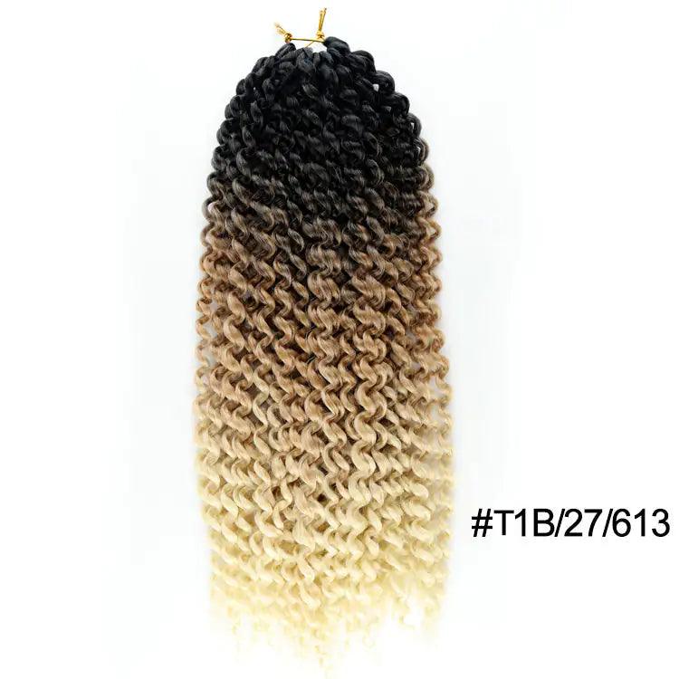 Passion Twist Hair Extensions - Viva Vista Store